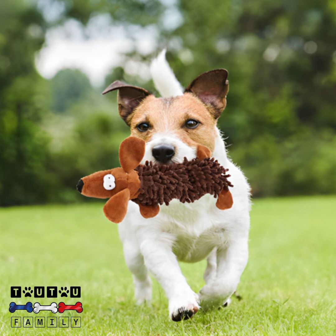 Jouet pour chien chiot - AmuseToutou™