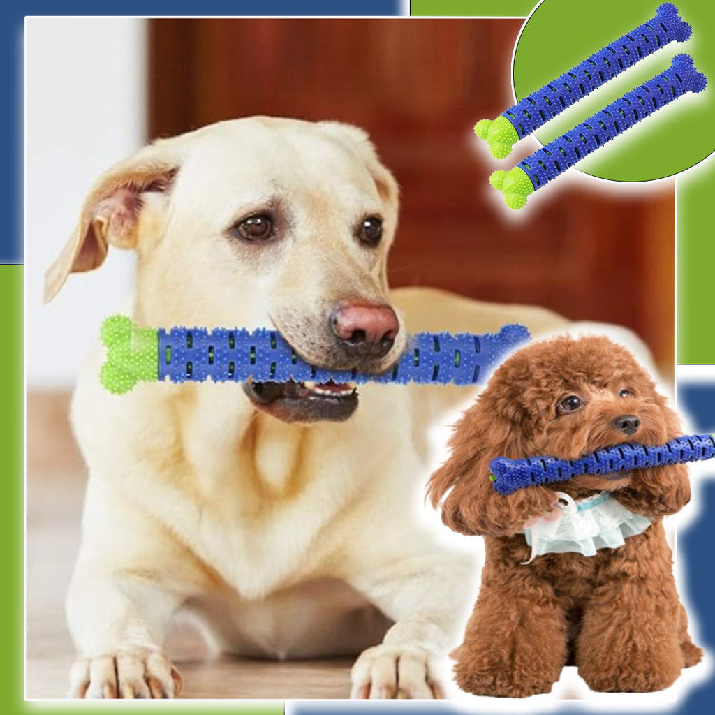 Jouet pour chien dentaire | DentiPup™