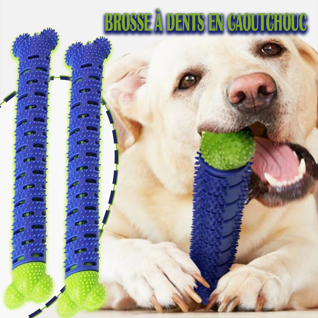 Jouet pour chien dentaire | DentiPup™