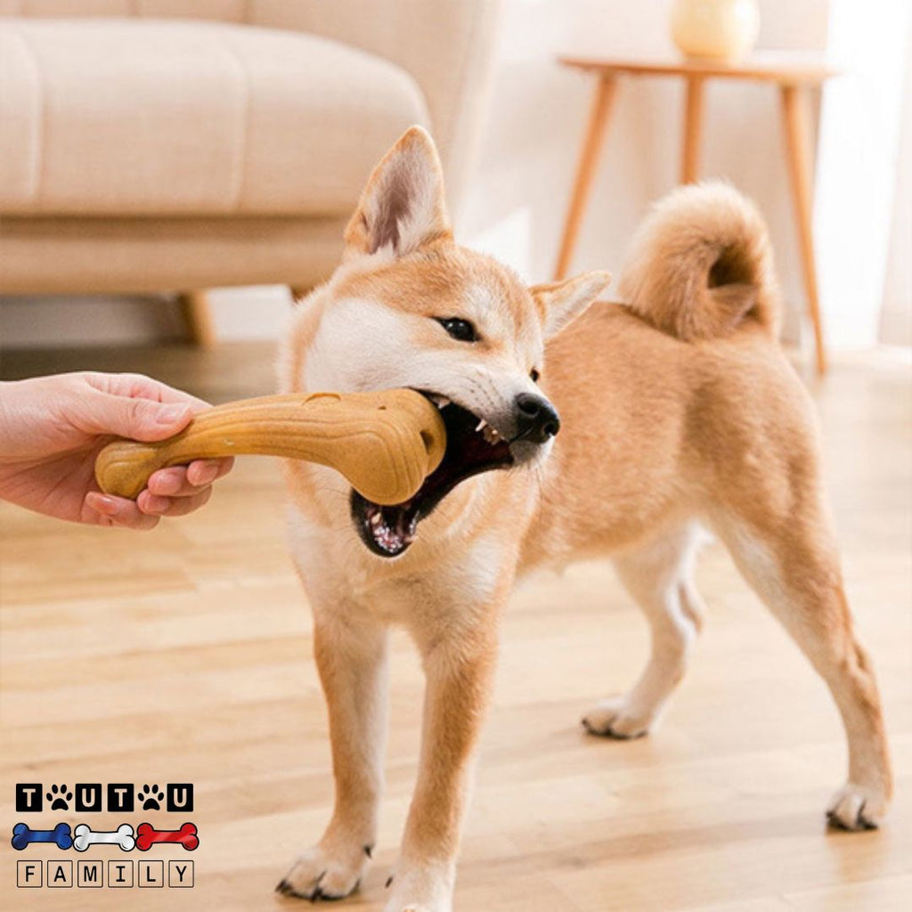 Jouet pour chien destructeur - MordToutou™