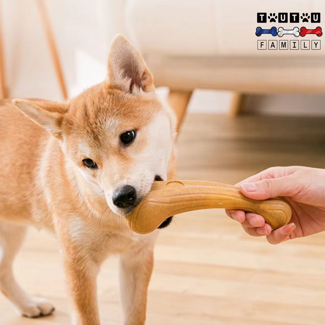 Jouet pour chien destructeur - MordToutou™