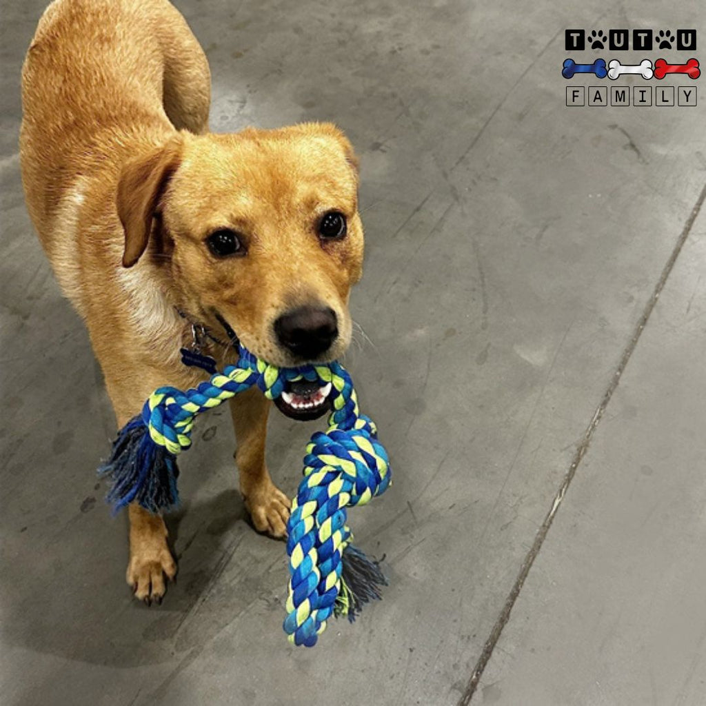 Jouet pour chien indestructible - CordeToutou™