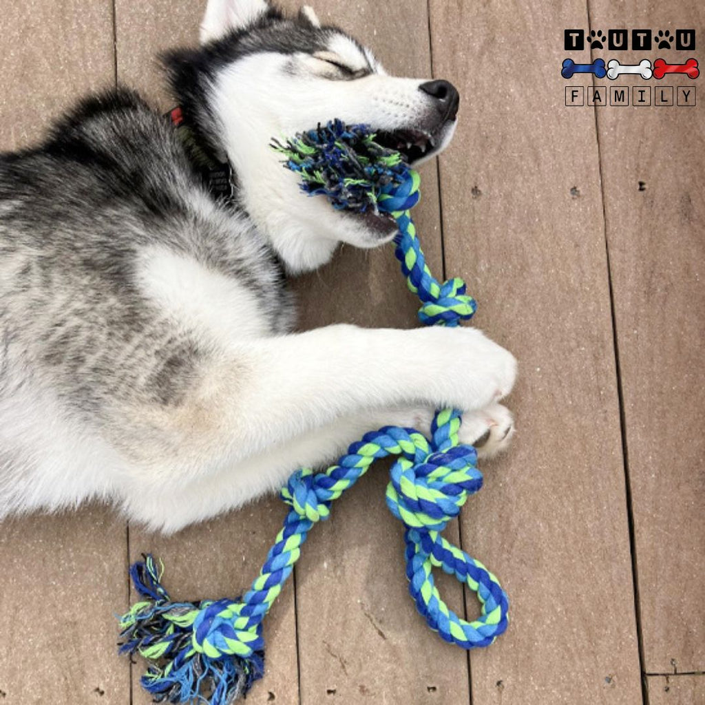 Jouet pour chien indestructible - CordeToutou™