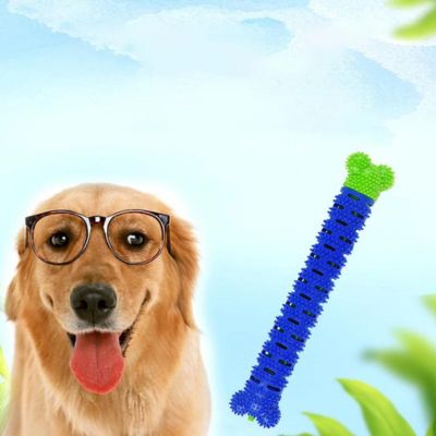Jouet pour chien dentaire | DentiPup™