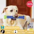 Jouet pour chien dentaire | DentiPup™