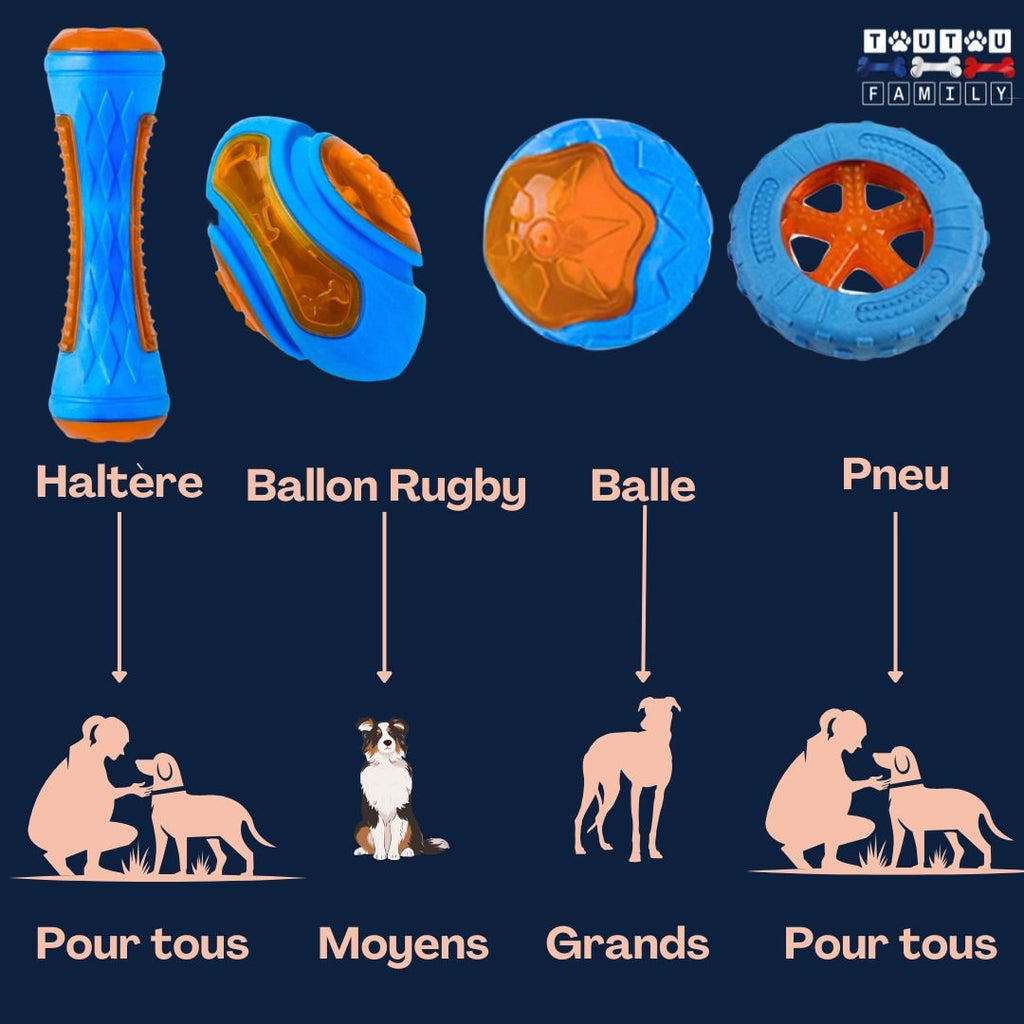Jouet pour chien - SportifToutou™