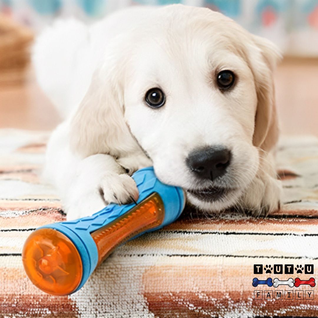 Jouet pour chien - SportifToutou™