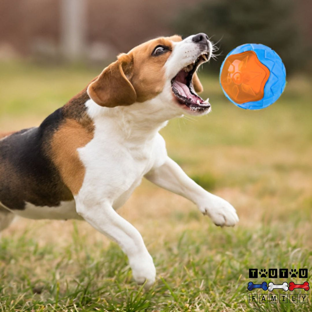 Jouet pour chien - SportifToutou™