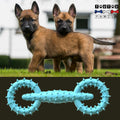 Jouet-pour-chiot-petit-chien-indestructible-turquoise-deux-chiots-avec-leur-jouet-indestructible-lavable-en-caoutchouc-indestructible
