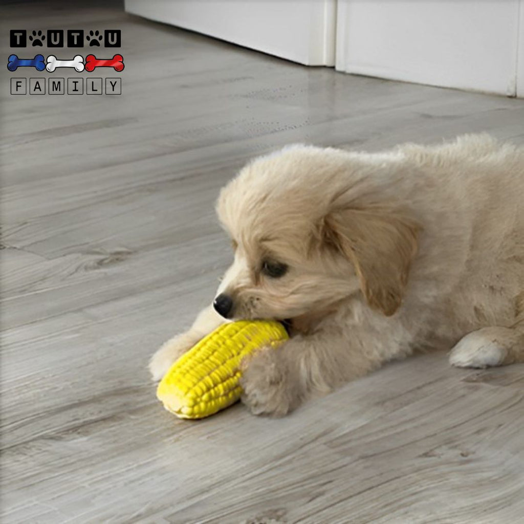 Jouet pour chiot - InteractifToutou™