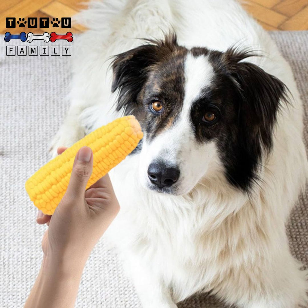 Jouet pour chiot - InteractifToutou™