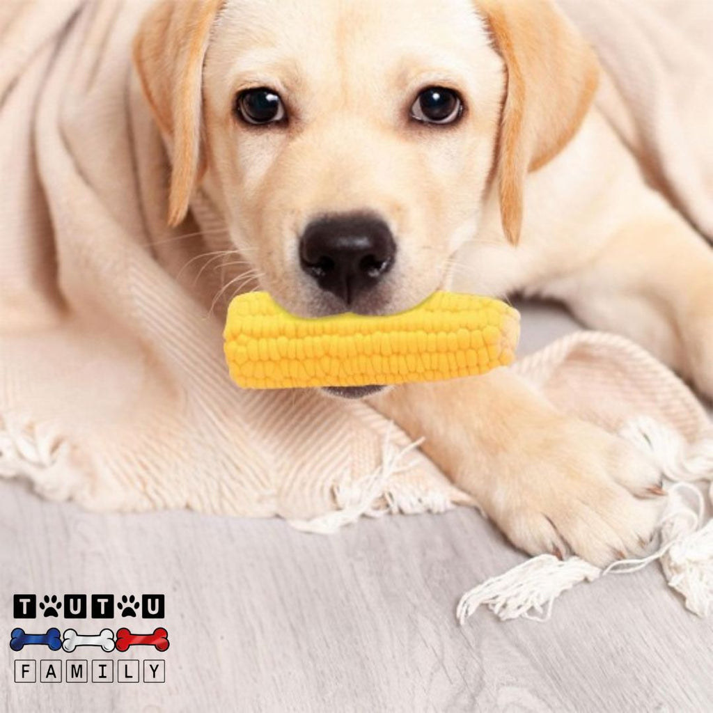 Jouet pour chiot - InteractifToutou™