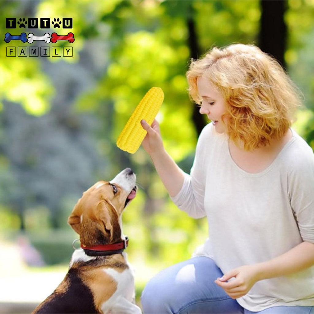 Jouet pour chiot - InteractifToutou™