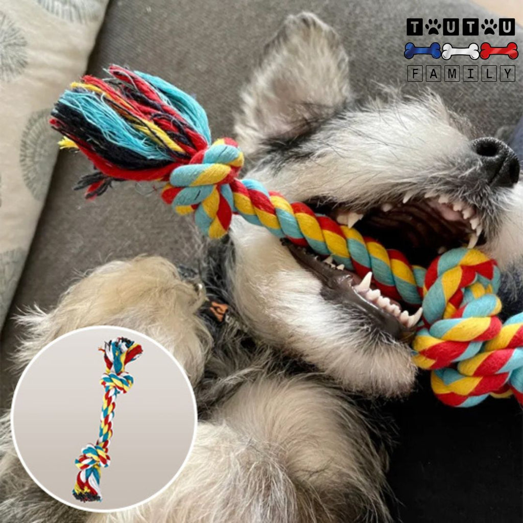 Jouet pour chiot (Lot de 3) - CordeToutou™