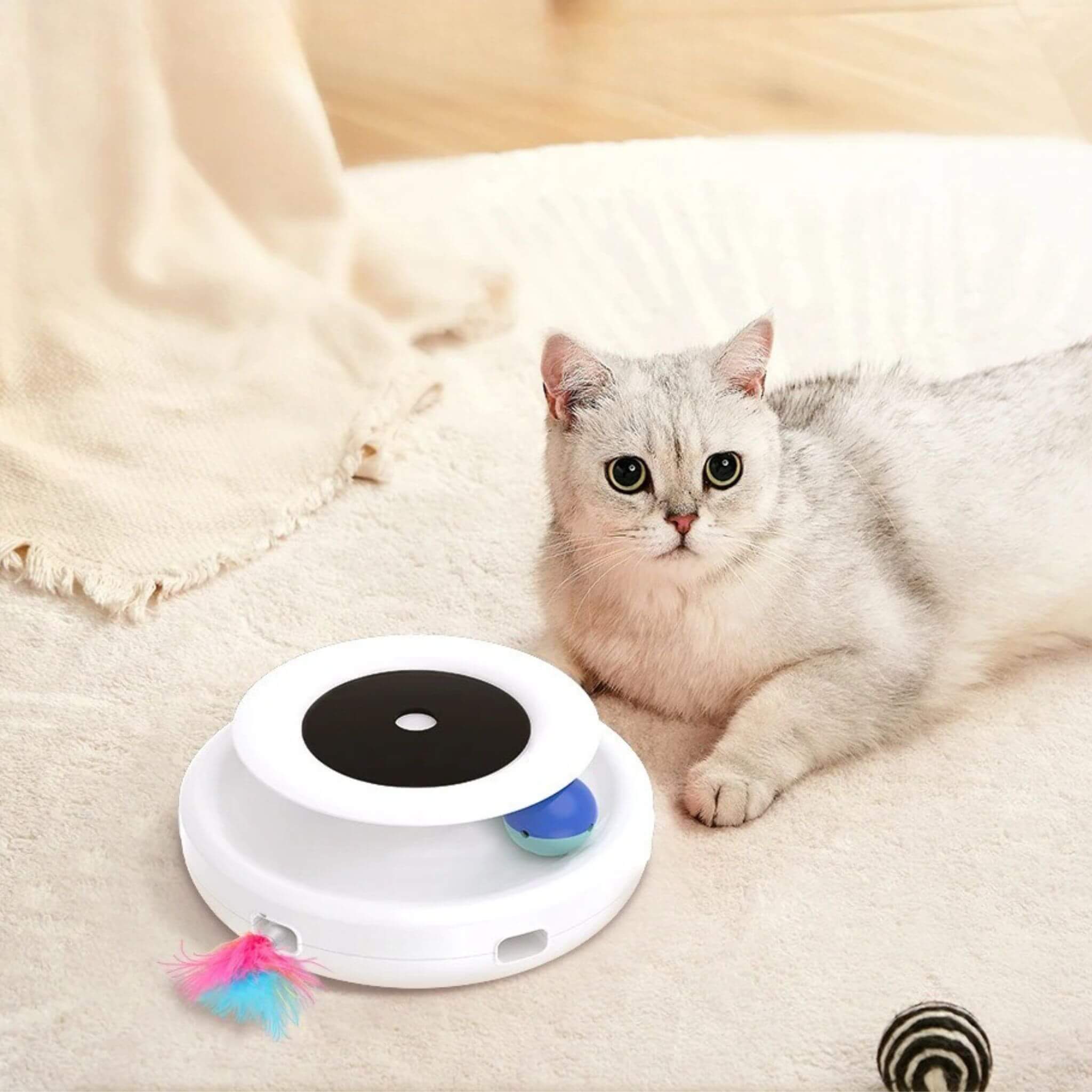 jouet robot chat | Chaton’Joueur