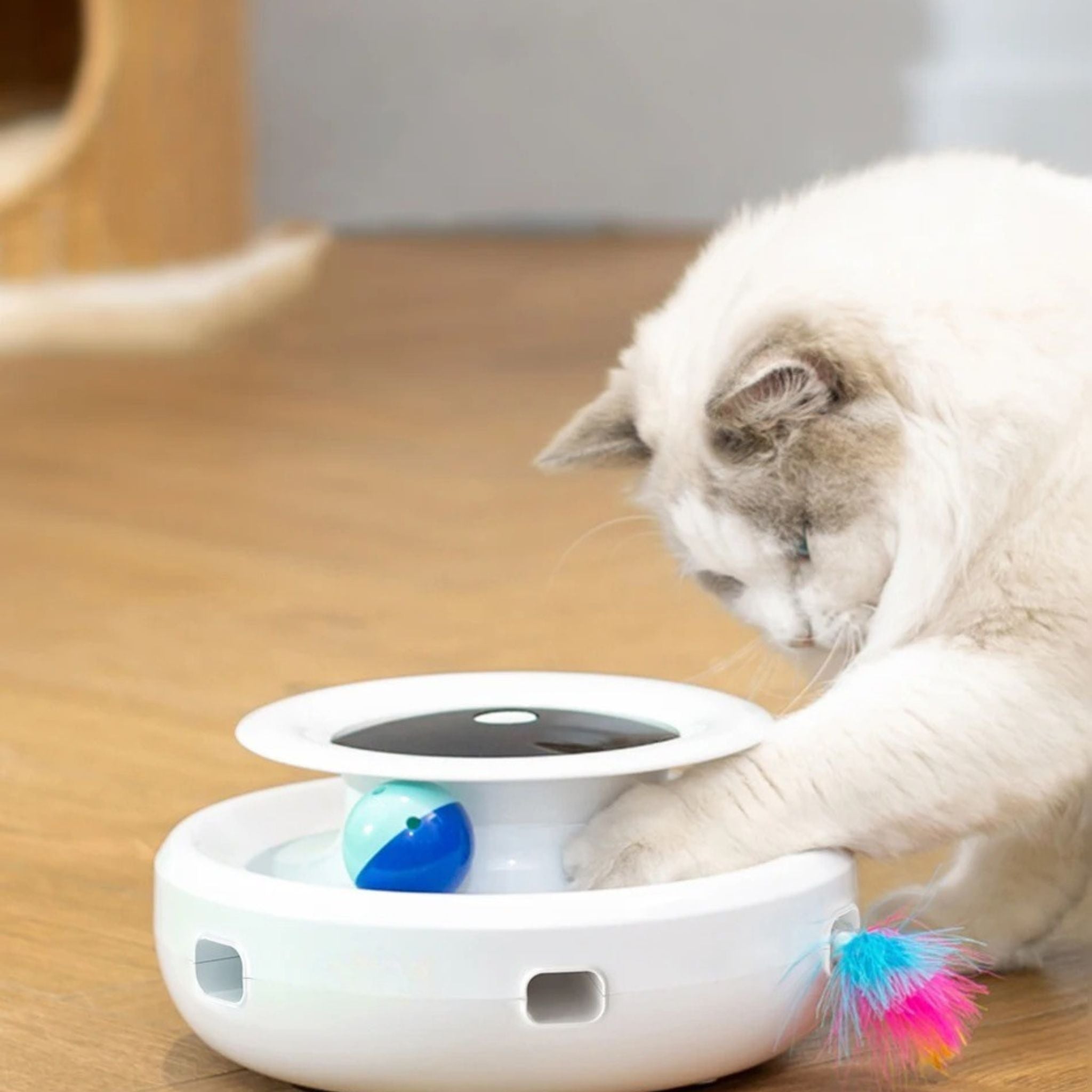 jouet robot chat | Chaton’Joueur