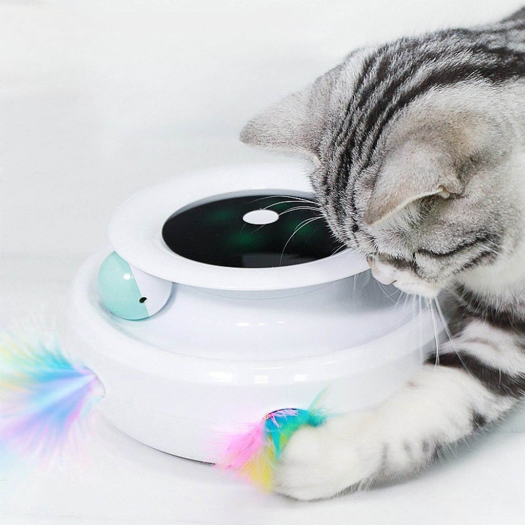 jouet robot chat | Chaton’Joueur