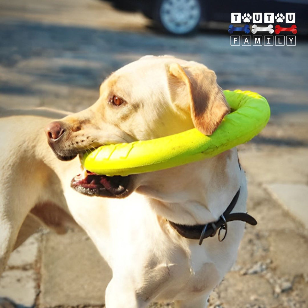 jouet solide pour chien - FlotteToutou™