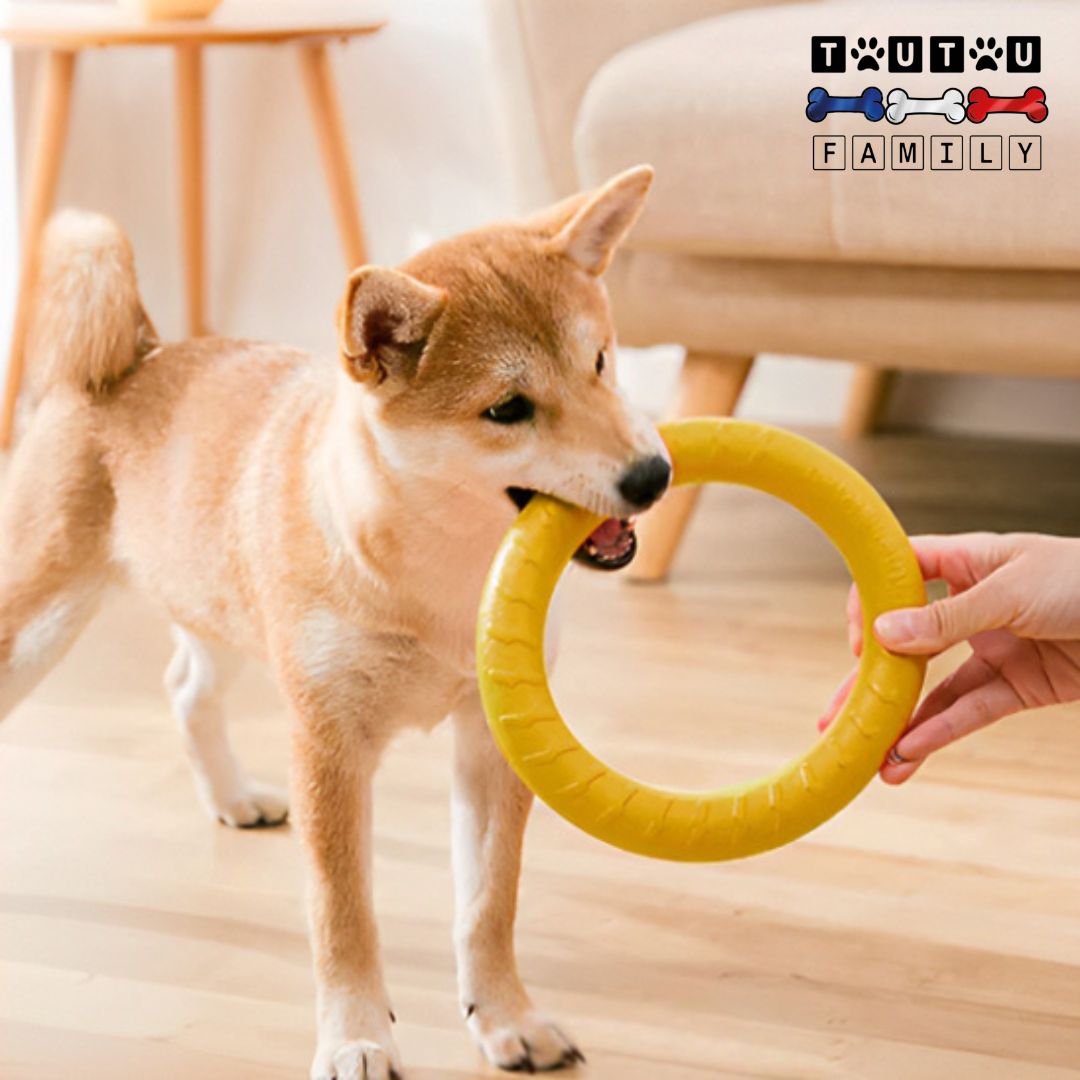 jouet solide pour chien - FlotteToutou™