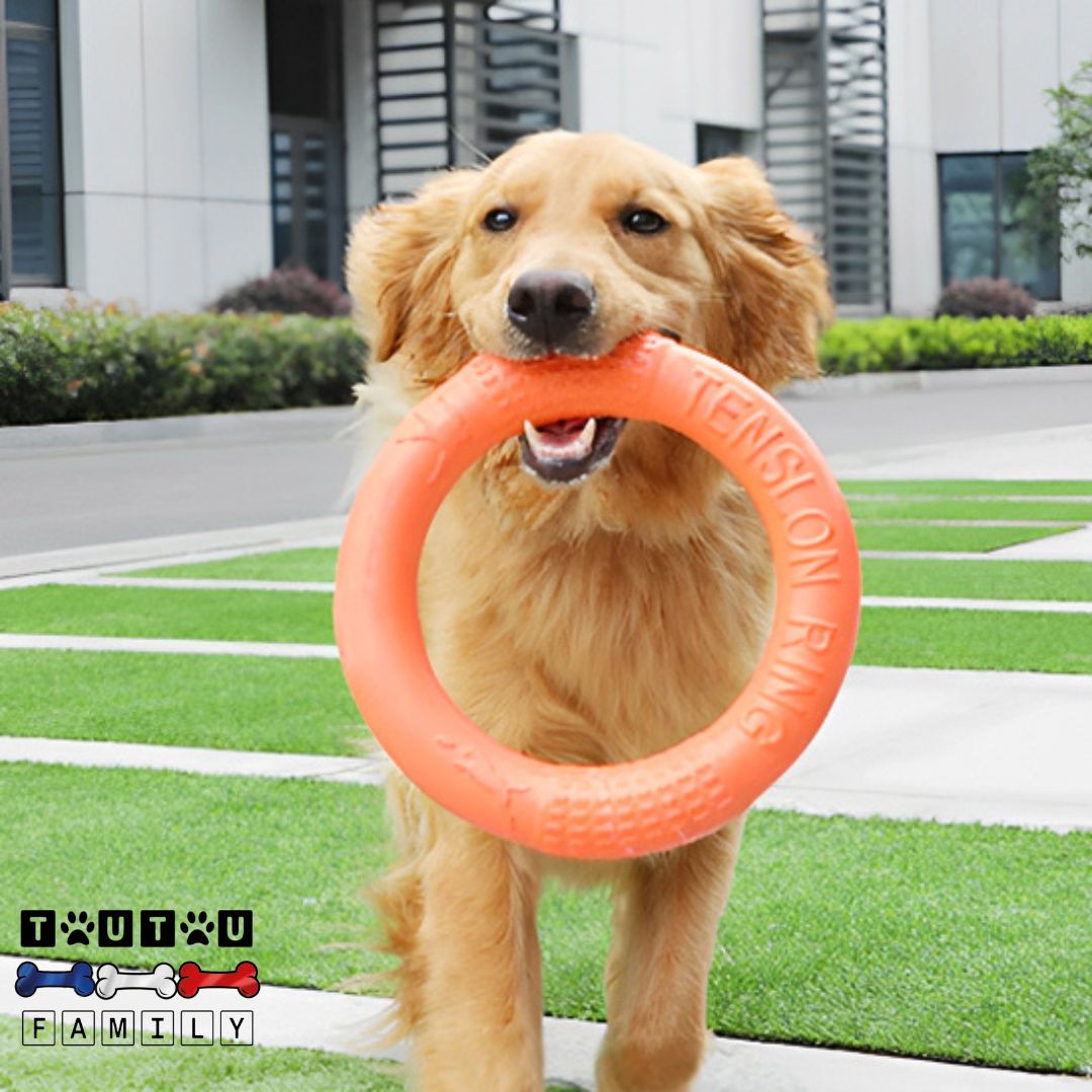 jouet solide pour chien - FlotteToutou™
