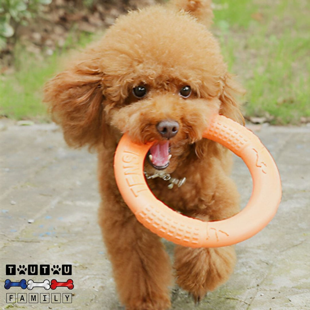 jouet solide pour chien - FlotteToutou™