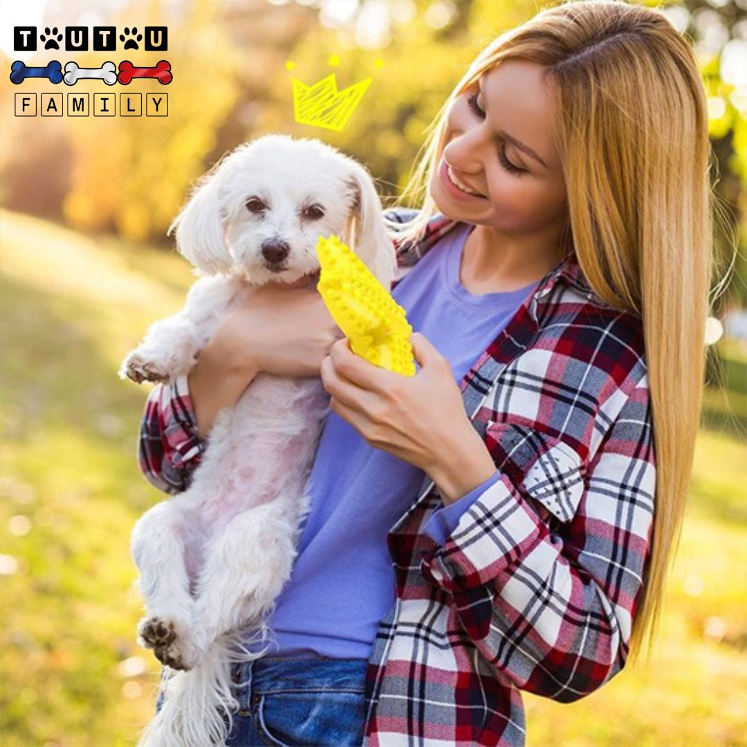 Jouet solide pour chien - StarToutou™