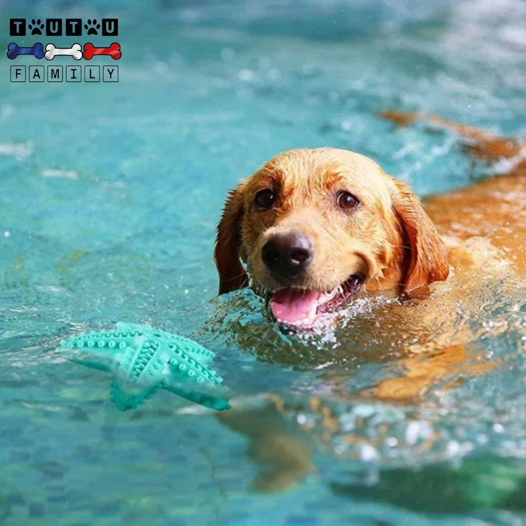 Jouet solide pour chien - StarToutou™