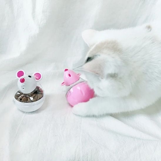 distributeur croquettes chat | DISTRI MOUSE