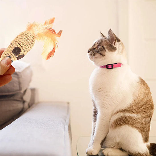 jouet souris pour chat | Zigzag