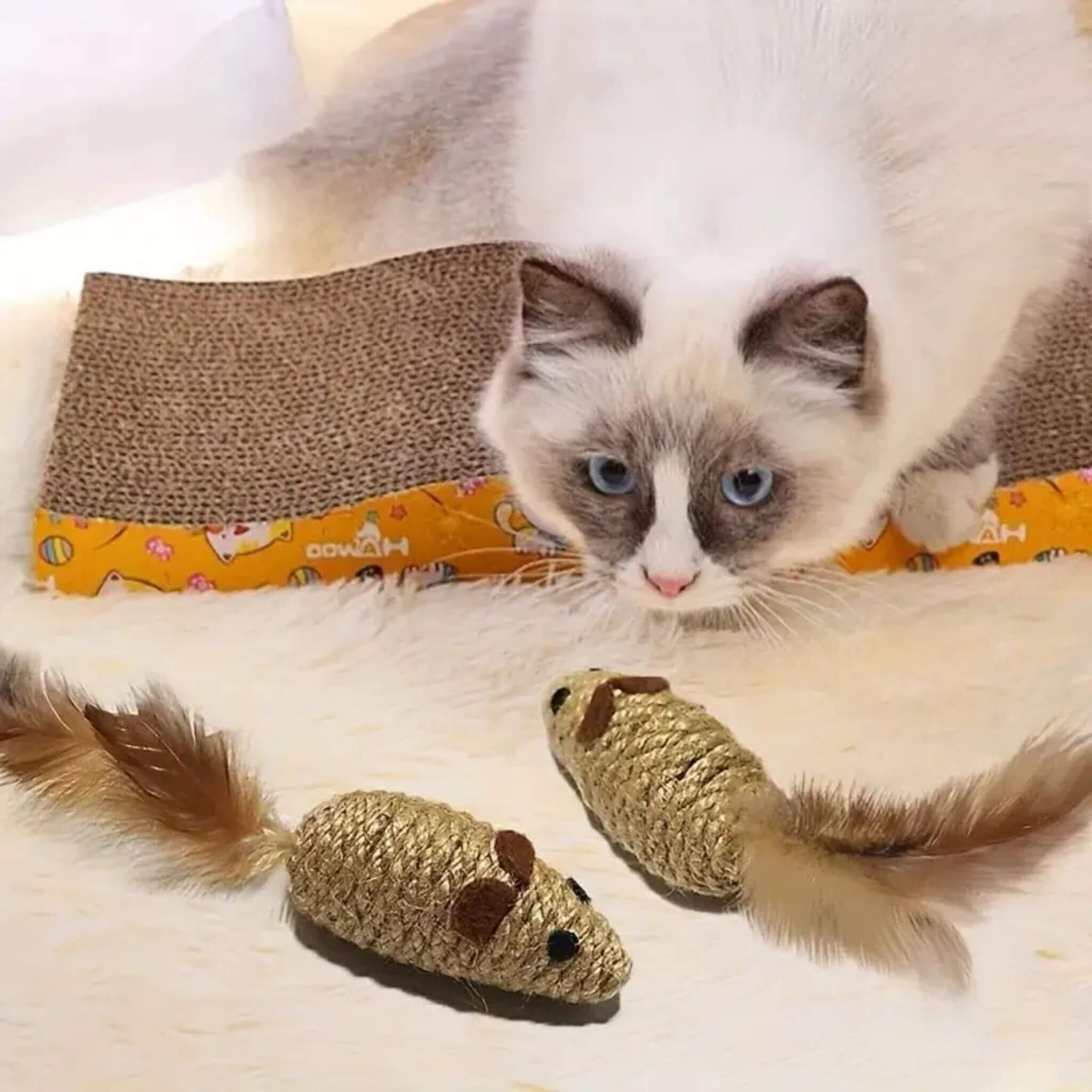 jouet souris pour chat | Zigzag