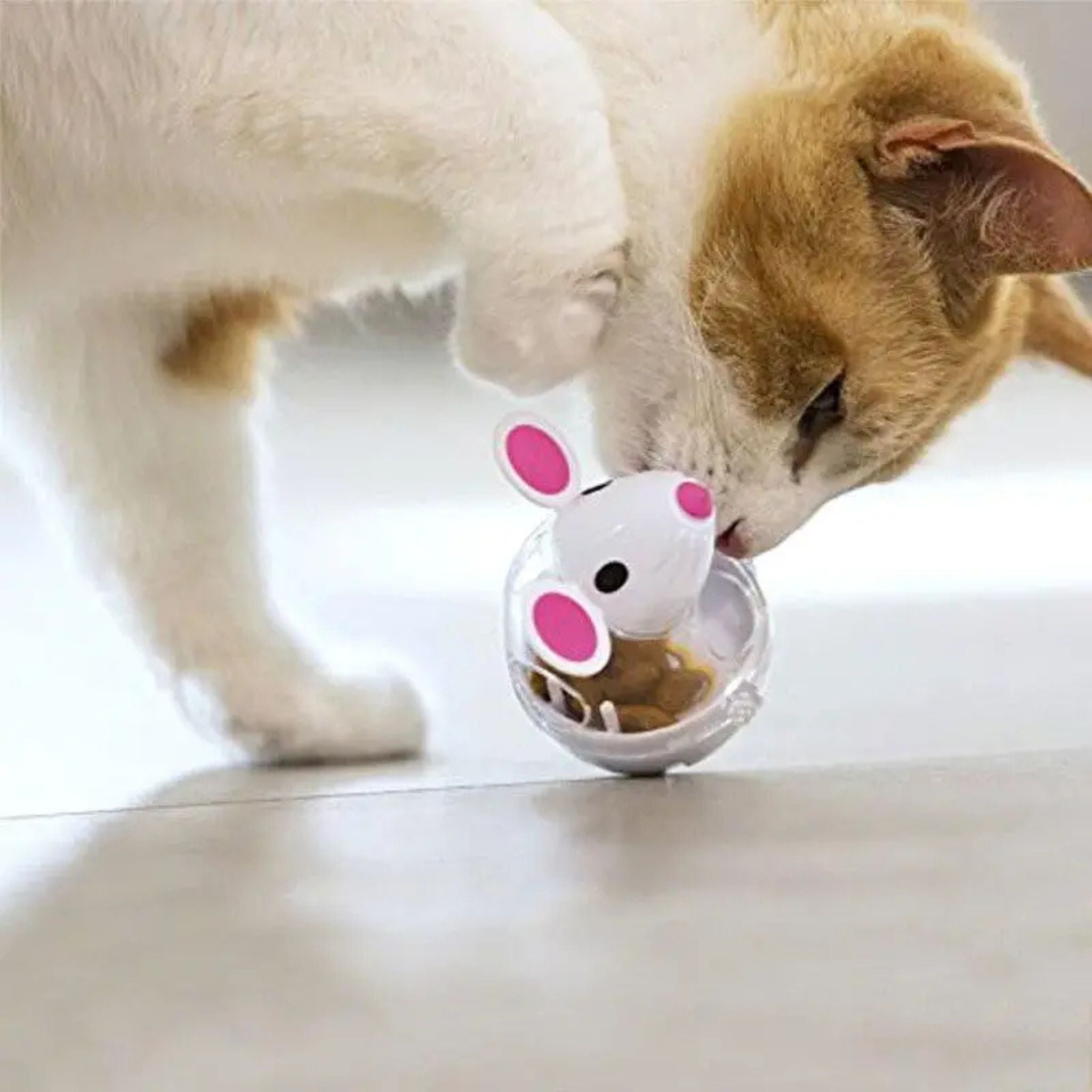 Jouet souris pour chat | DISTRI MOUSE