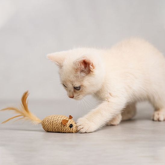 jouet souris pour chat | Zigzag