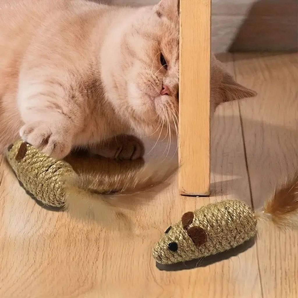 jouet souris pour chat | Zigzag