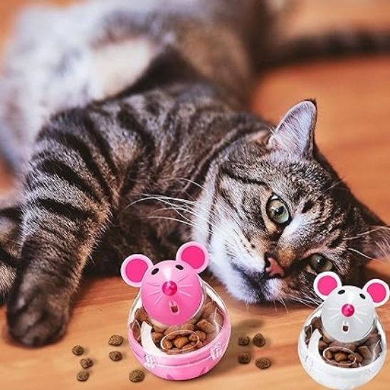 distributeur croquettes chat | DISTRI MOUSE
