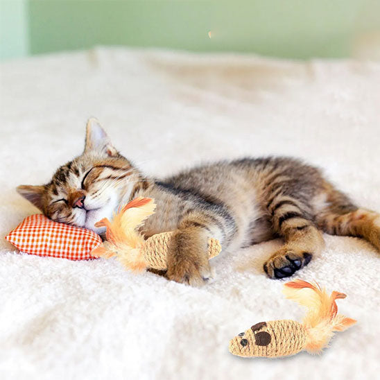 jouet souris pour chat | Zigzag