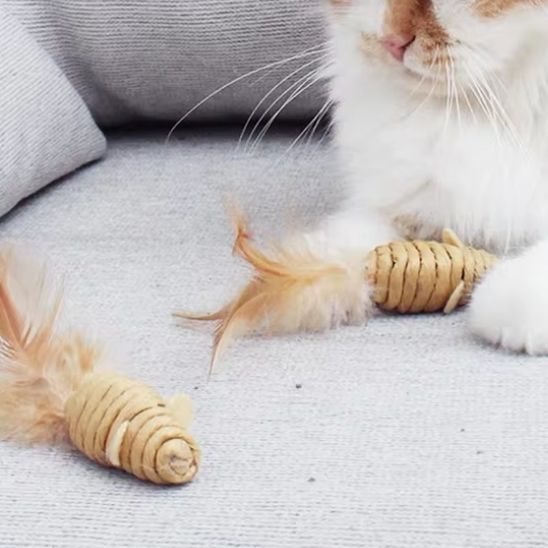 jouet souris pour chat | Zigzag