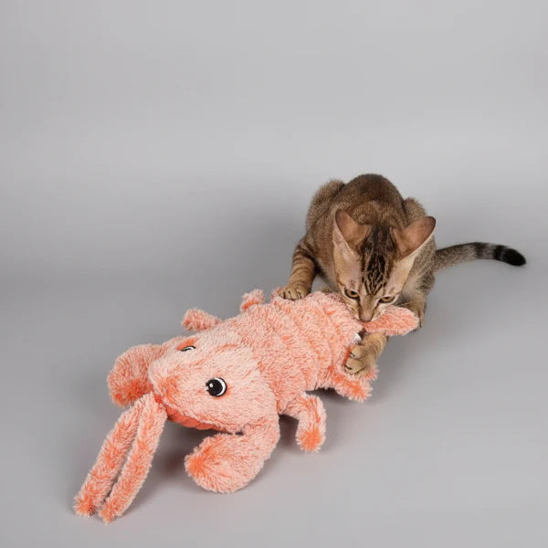 Jouet Vibrant 3 Modes Pour Chien Et Chat