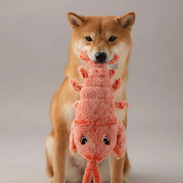 Jouet Vibrant 3 Modes Pour Chien Et Chat