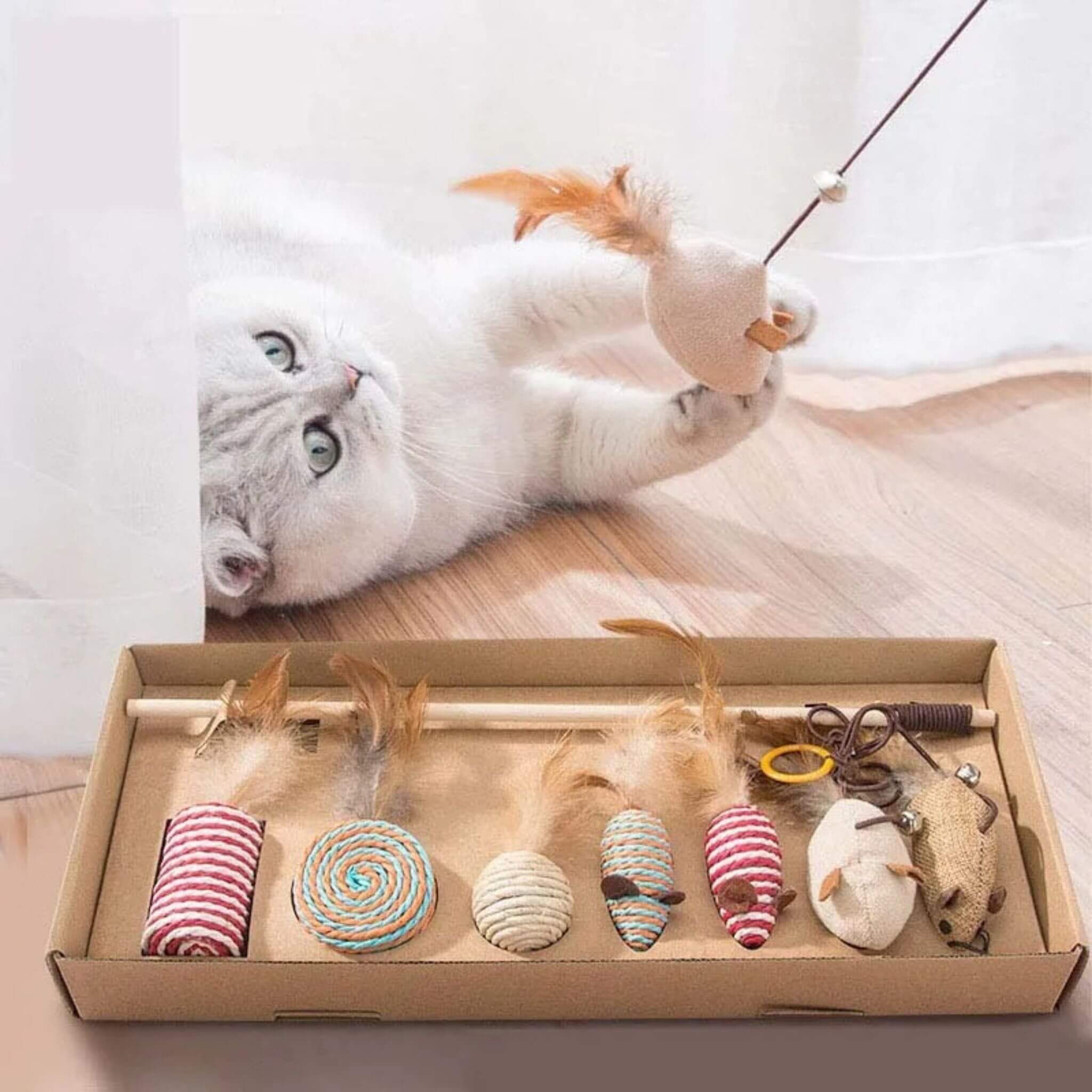 jouets pour chat | Coffret 7 en 1