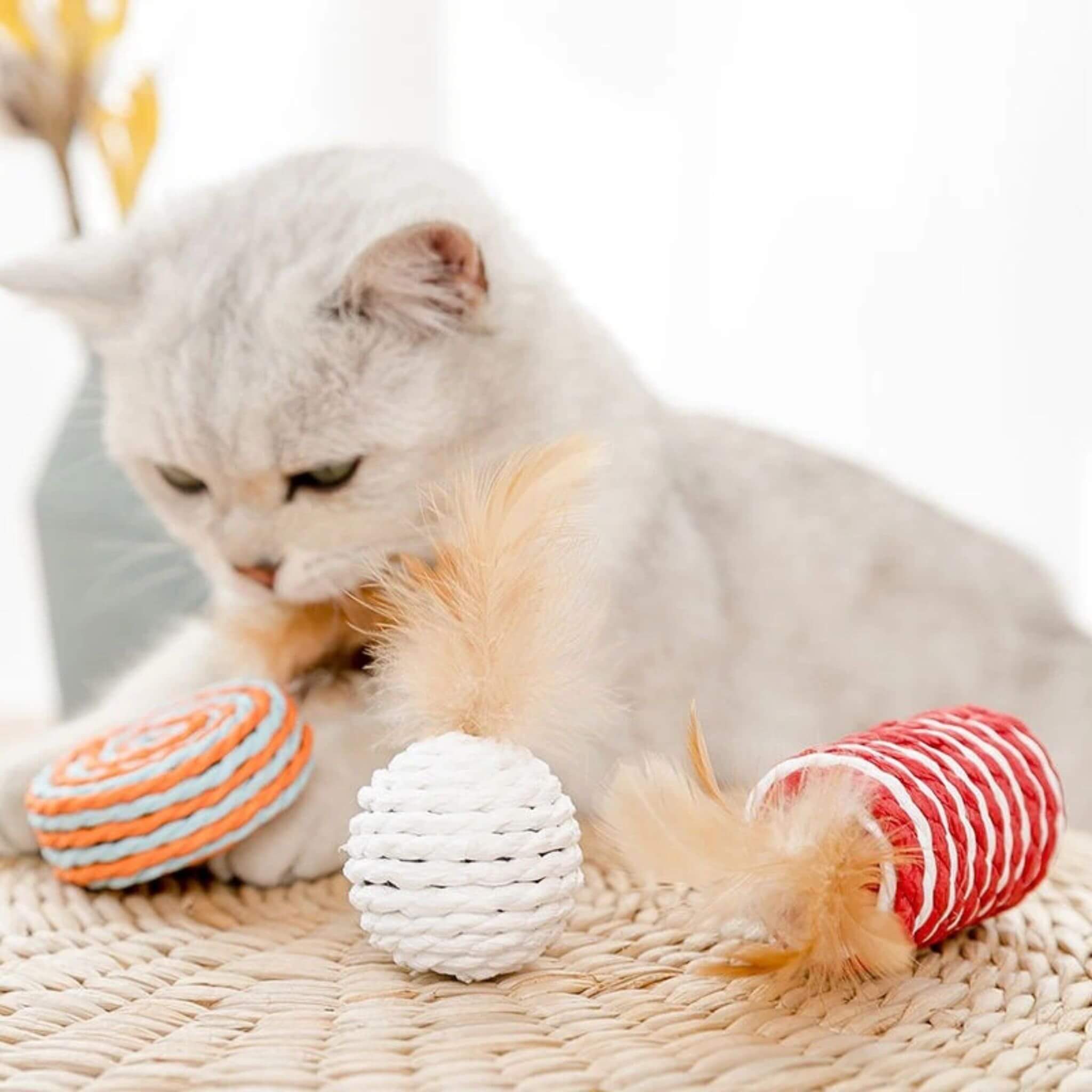 jouets pour chat | Coffret 7 en 1
