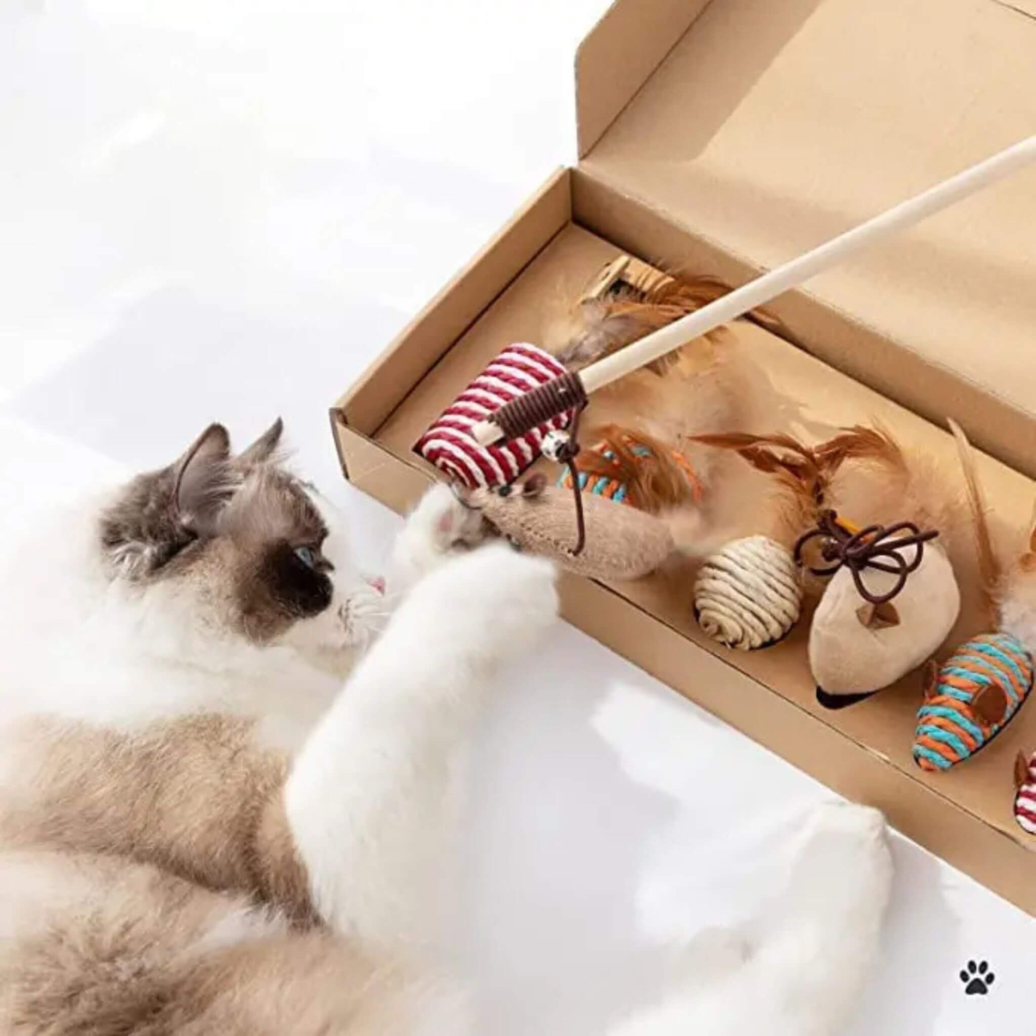 jouets pour chat | Coffret 7 en 1