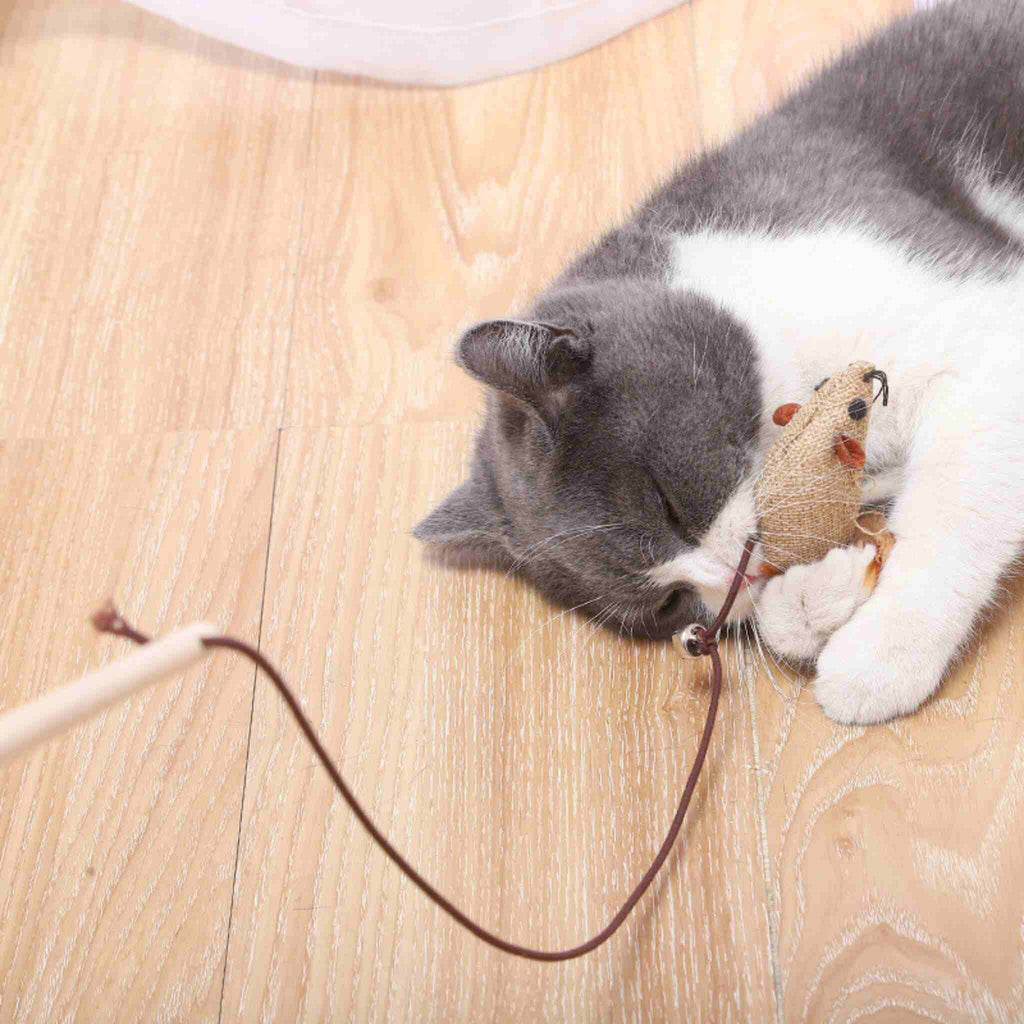 jouets pour chat | Coffret 7 en 1