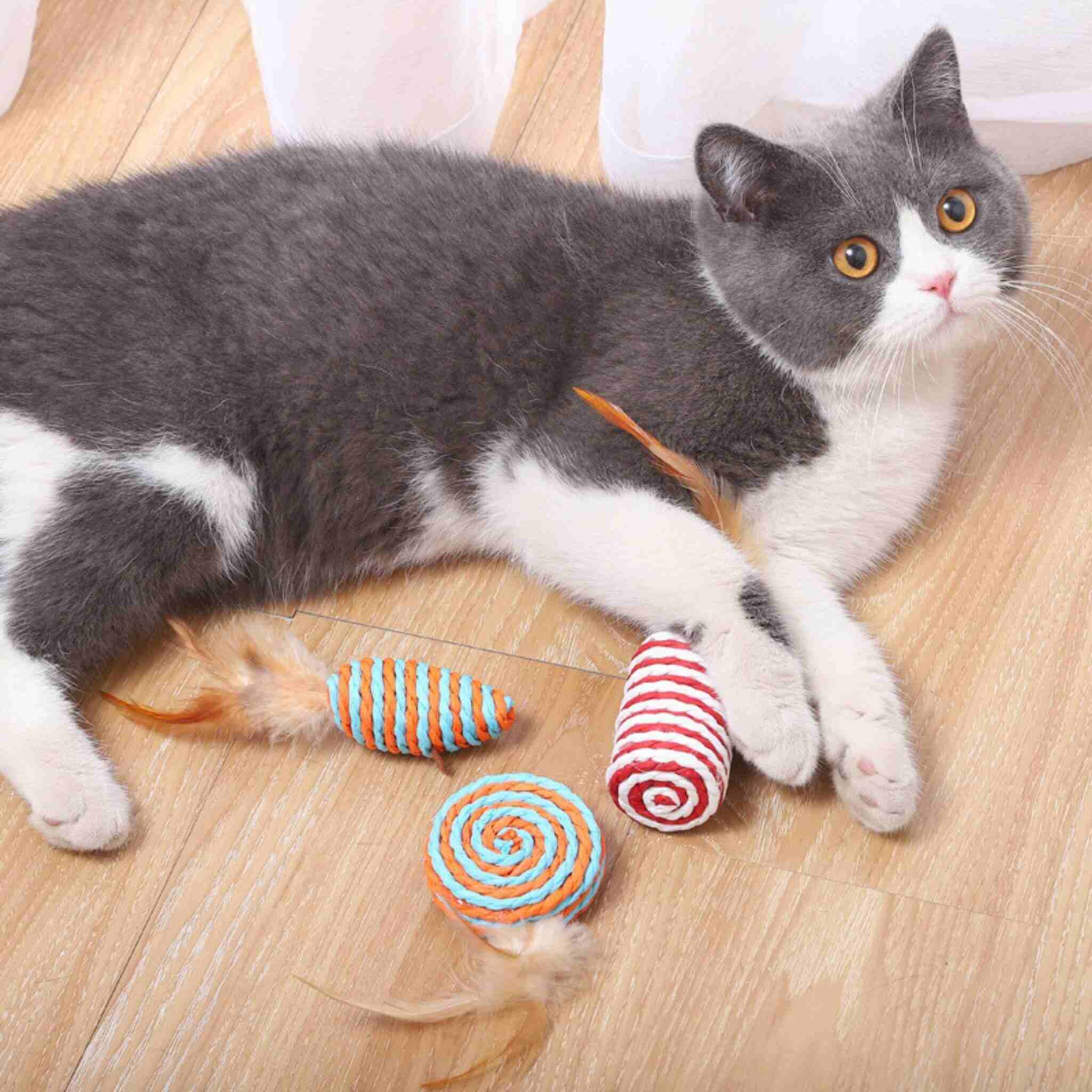 jouets pour chat | Coffret 7 en 1