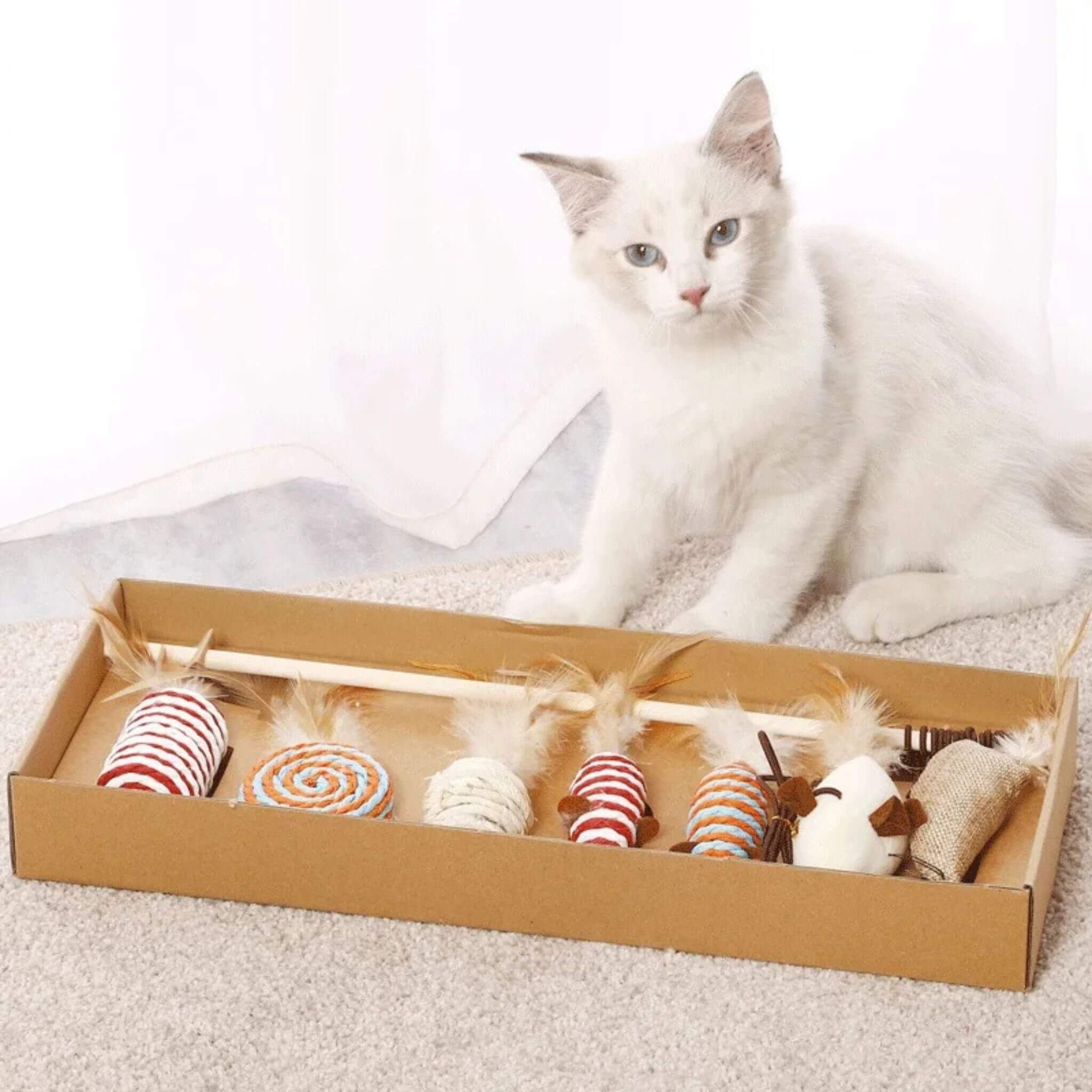 jouets pour chat | Coffret 7 en 1