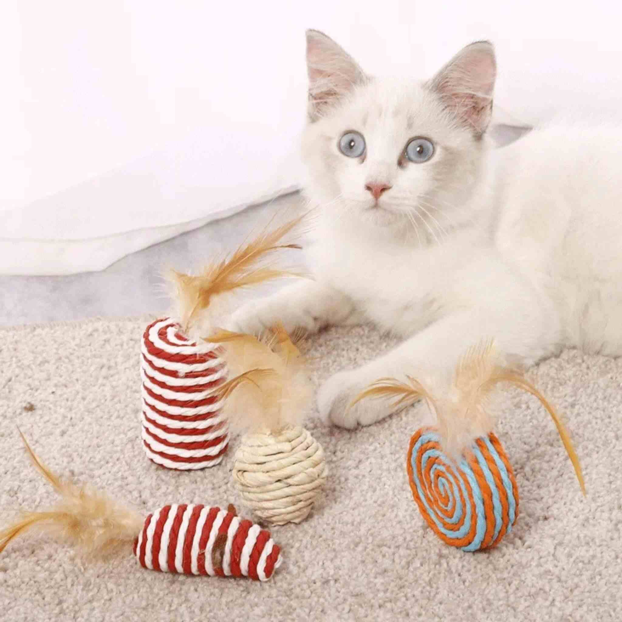jouets pour chat | Coffret 7 en 1