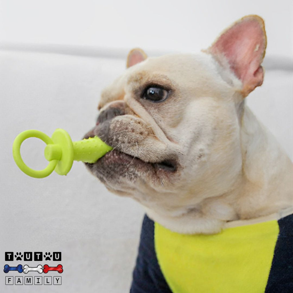 Jouets pour chiots - DentToutou™