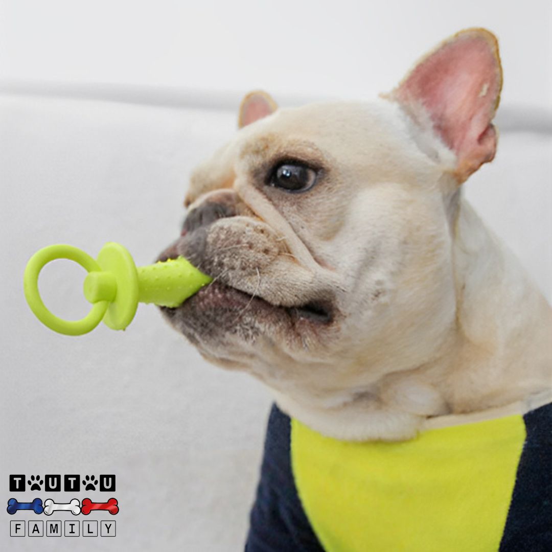 Jouets pour chiots - DentToutou™