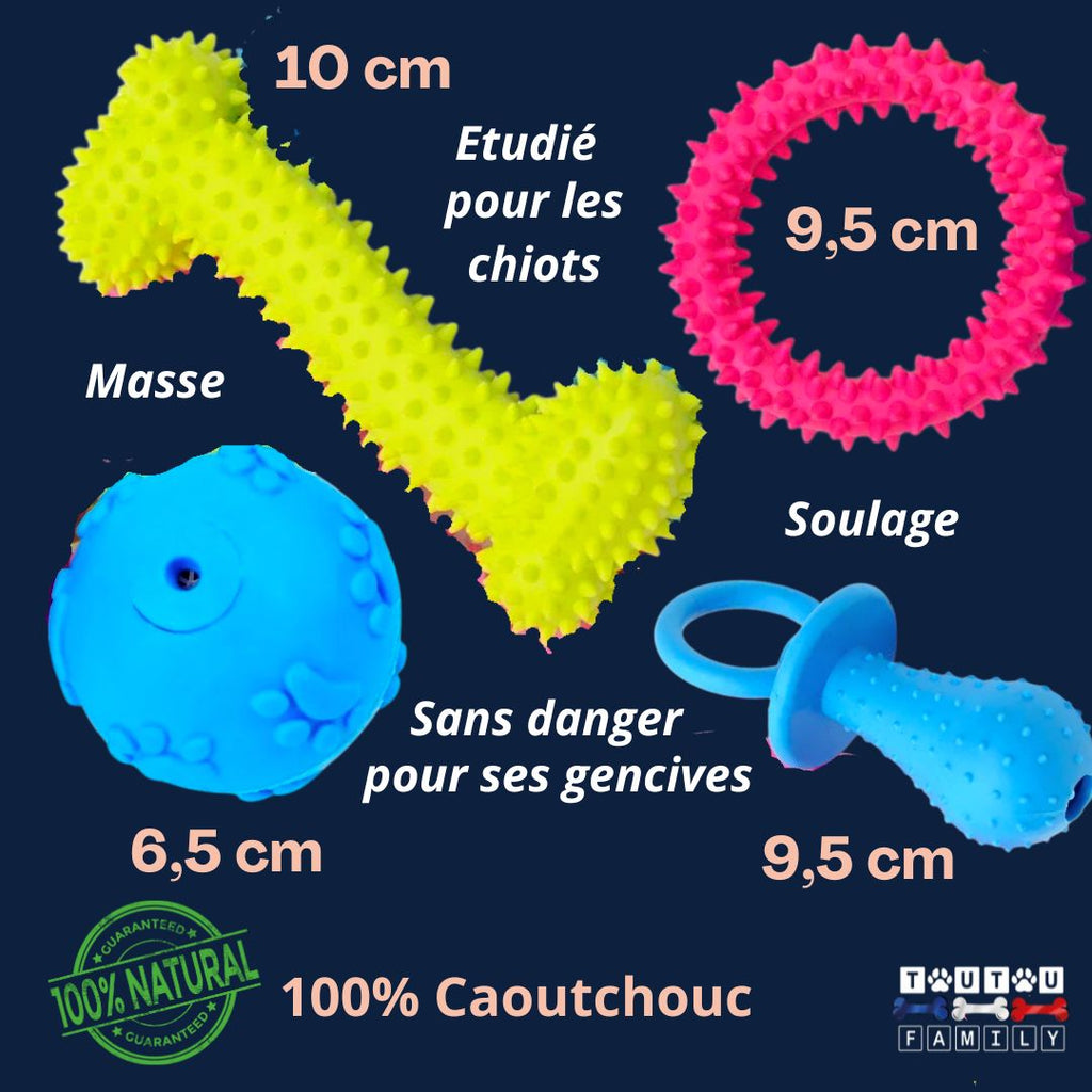 Jouets pour chiots - DentToutou™