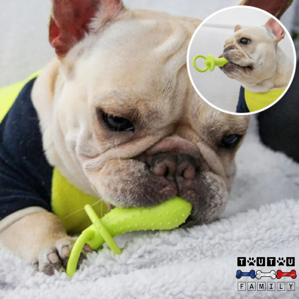 Jouets pour chiots - DentToutou™