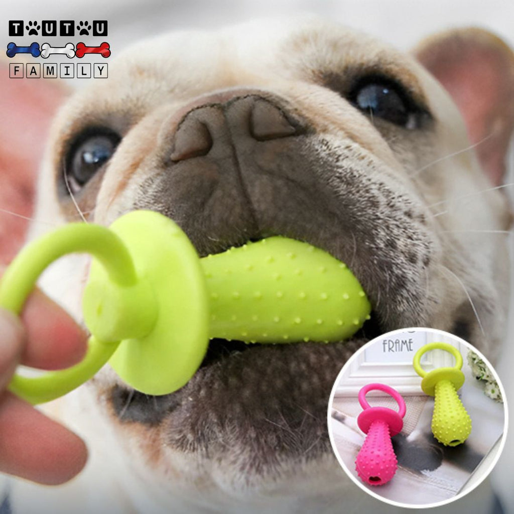 Jouets pour chiots - DentToutou™